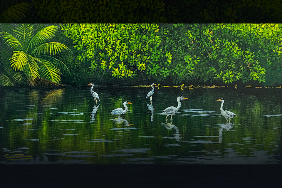 Reflections of Resilience